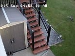 Rascal raccoon uses a sprinkler to douse cat during scrap