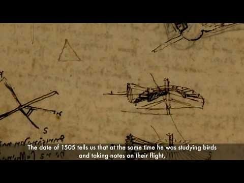 Leonardo's Flight