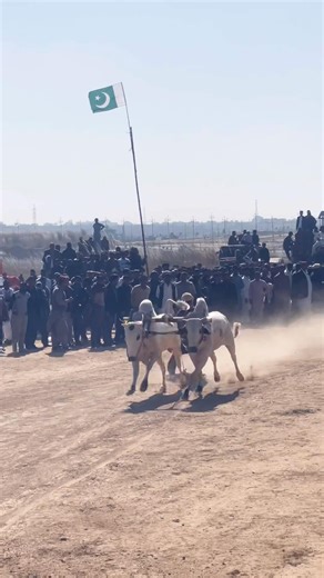 #viral #youtubeshorts #ytshorts #trending