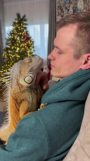 Even animals can’t live without cuddles 🥰 #petsoftiktok #foryou #petlover