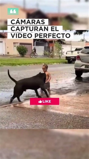 Watch how this little dog has fun playing with water with his little human friend.