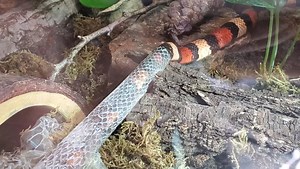 3.4K views · 60 reactions | Fun fact Friday! Here’s one of the most...