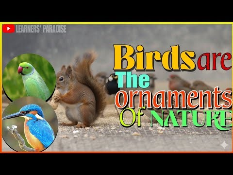 Birds — The ornaments of nature. #birds #birdschirping #morning #english