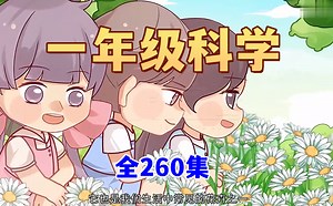 全260集【一年级科学趣味动画】2024教科版小学科学 1-6年级科学同步课堂