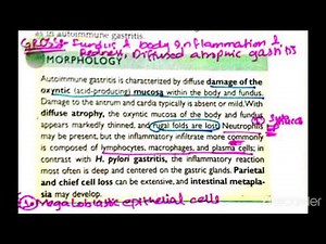 GIT Pathology 6 Major Topic: Autoimmune gastritis