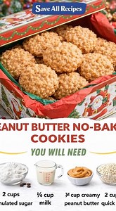 Peanut Butter No-Bake Cookies | Save all Recipes
