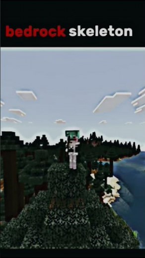 Java vs bedrock 💀💀