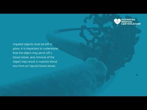 3d: Punctures and Impaled Objects (2026)