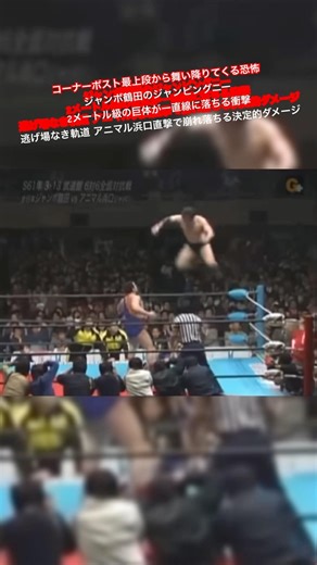 コーナーポスト最上段から舞い降りてくる恐怖 ジャンボ鶴田のジャンピングニー 2メートル級の巨体が一直線に落ちる衝撃逃げ場なき軌道 アニマル浜口直撃で崩れ落ちる決定的ダメージ