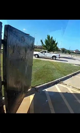 Found a bunch of DELL monitors #dumpsterdiving #foundintrash #urbantreasurehunting #dumpsterdivingfinds #fyp #dell #dellmonitor #computer #electronics | The Scavenger Video