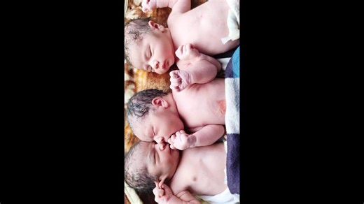 The Biggest Triplets Newborn Babies being Dressed by Grandma Happily After Birth First Cry #cutebabies #cutebaby #newborn #firstcry #bebe #beautifulbabies #adorablebabies #newborns #babies #Triplets #tripletsbabies #tripletbabies | After Birth