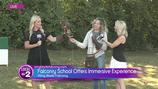 Wing Blade Falconry: Hawks, Falcons and Owls Up Close!