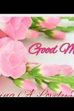 50+Good Morning Nature, Flower Images | Good Morning With Flowers| #goodmorning