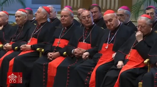 Pope Leo: “In addressing faith, liturgy, morality… there is a risk of rigidity or ideology.” | Sign of the Cross