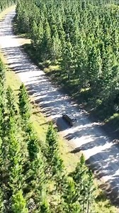 Upgrade your ride and armour up. TJM suspension and bull bars are your off-road essentials | TJM 4x4 Equipped