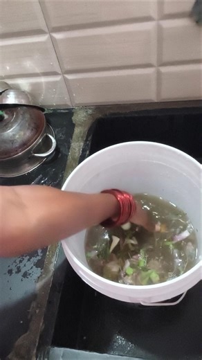 Kitchen waste is very powerful for plants.