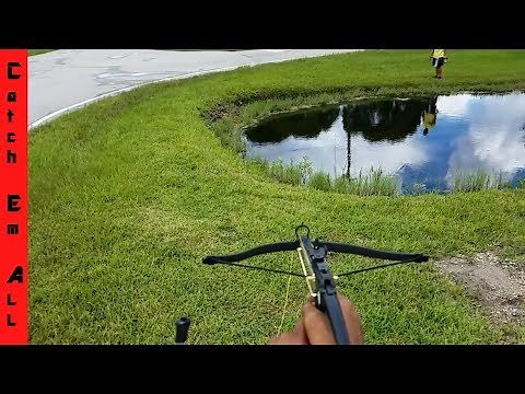 Mini CROSSBOW FISHING: SLOW MOTION SHOTS! New Spiderman Wrist reel!