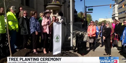 Tree planting ceremony