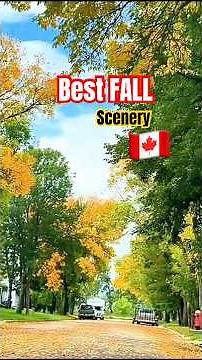 Neepawa, Manitoba in Autumn 🍁 | Fall vlog | Park | Beautiful Scenery | Drone shots | #buhaycanada