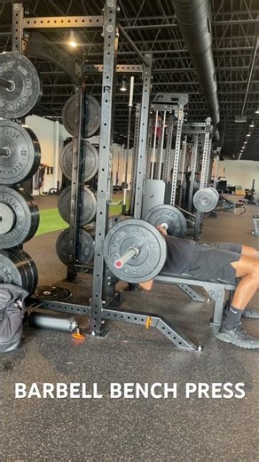 Barbell Bench Press Demo