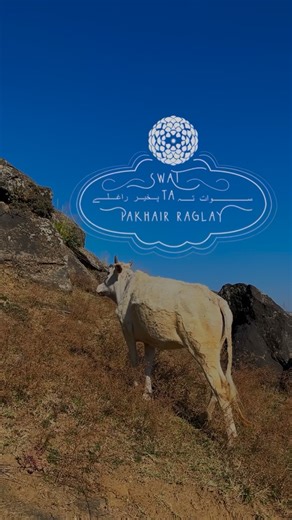 Asad Monga on Instagram: "Welcome to Swat! Episode 2.1: History & the Present moment. Excellent camera work by @igsalmankhan and @noorulainali This project is in collaboration with ISMEO and the @britishcouncil. Additional partners include the DG Archeology and Museums KPK, @serenahotelsofficial and Essanoor Associates."