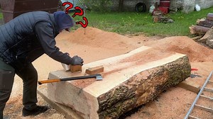 5.3M views · 23K reactions | Unexpected surprise in a 100 year old ash tree | Belko Wood | Facebook