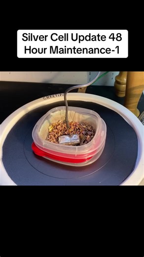 Silver Cell Maintenance Update: 48 Hours in Action