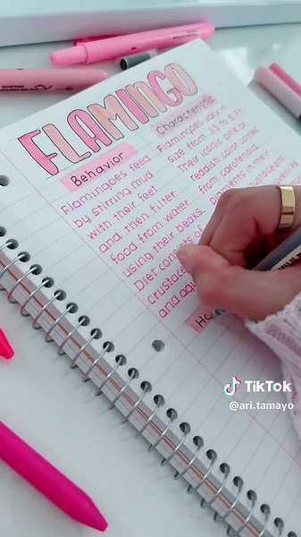 Romanticizing Studying with Pink Notes | Study Inspo