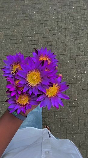 Temple ot the tooth kandy sri lanka video credit to owner #sridaladamaligawa #kandyrailwaystation #mathale #tranding #favorite #kandytown #kandy #nuwra #templeofthetooth #morningvibes #mahanuwara #sridaladamaligawa #kandyrailwaystation #mathale #tranding #favorite #kandytown #kandy #nuwra #templeofthetooth #morningvibes #mahanuwara #b #buddhism | Look Lanka