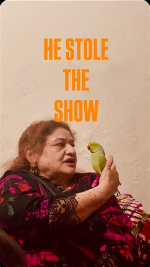 rabbiagulnarmajeed on Instagram: "Mithu, miyan mithu ban gya #explorepage #funny #fyp #foryoupage #reels"