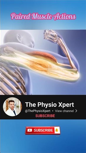 Paired Muscle Actions Explained 💪 | The Physio Xpert #Shorts #Physiotherapy #Anatomy