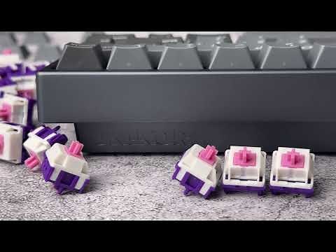 HMX Purple Dawn Switch | Singa Unikorn Sound Test