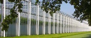 GrowSpan Pro and Commercial Greenhouses | GrowSpan