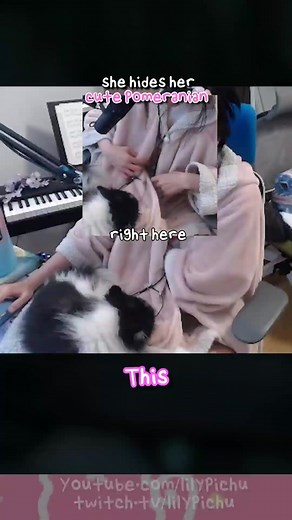 You thought there was one but there was actually TWO #fyp #petsoftiktok #offlinetv #lilypichu #foryou #dog