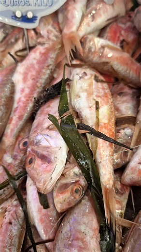 🔴🔵 l'arrivage du jour le 07 mars chez poisson 🐟 bio 🔵🔴 numéro de téléphone : 0796 73 02 56/ 0663 88 38 78 🛵 🛵 🔴🔵 localisation : les castors mostaganem 🐙 🦐 #FreshFish #PoissonFrais #FishMarket #algeria #iran