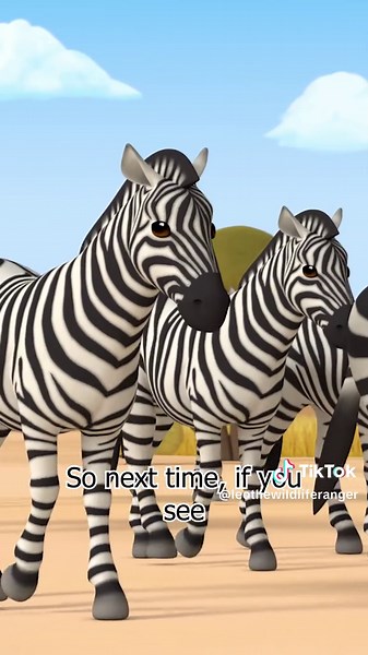 Unique Patterns of Zebras Explained | Animal Facts