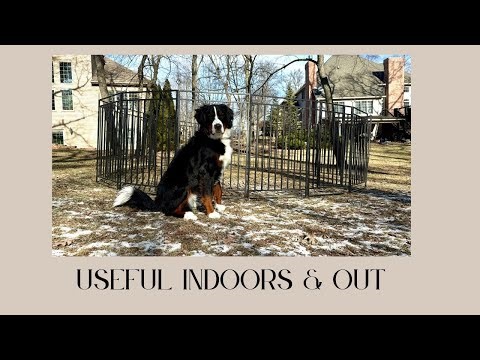 This Dog Playpen Finally Contained My Big Dog (Indoor & Outdoor Test)