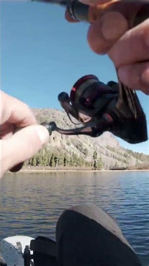 I hit the Trout Jackpot in Mammoth! Lock in. Video Drop today. #Trout #fishing #rainbowtrout