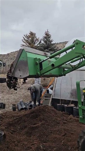 Tree planting project in Idaho showcases volunteers making a difference