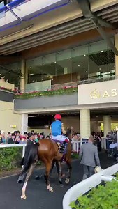 1.2K views · 46 reactions | King Frankie  #RoyalAscot | Racing.com | Facebook