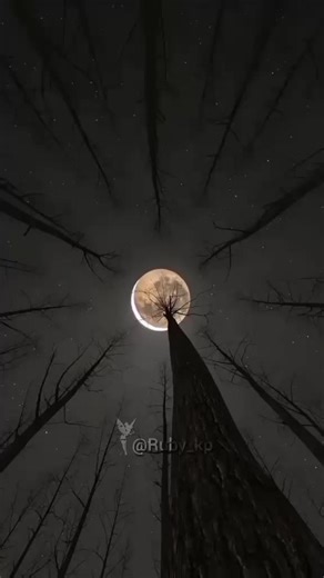 Your Light in the Dark #Your_Light_in_the_Dark #روبي_منفردة🧚🏻‍♀️#كيبوب #K-pop #ruby_kp #اغنية #تصميمي #pppppppppppppppp #ai