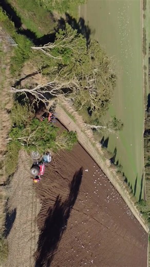 Massey Ferguson: Powering Summer Plowing in Farming