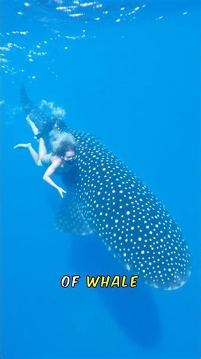 Southern Leyte's Gems #travel #tagacabalian #visiting https://bit.ly/4rdgyVj