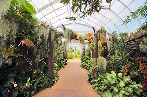 Gilded Age splendor at Hillsborough's Duke Farms