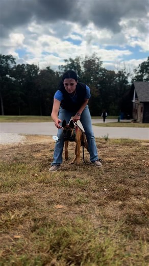 One session is all it took for students to shift their pups out of the box, to just the article. Next step? Add articles to the track! 👣 #tradeschools #DogTok #WorkingDogs #tracking #articleindication @daija.n.dogs @sam @K Pups @koa | Kennelwood Academy for Professional Dog Trainers