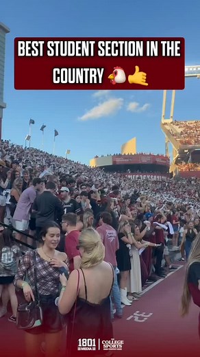 1.9K views · 1.3K reactions | THE #1 STUDENT SECTION IN THE COUNTRY  Despite it being Thanksgiving break the Gamecock Students showed up and are showing out 勞酪 • • • • • #SpursUp酪 #USC #SouthCarolina #CFB CollegeFootball | 1801 Media | Facebook