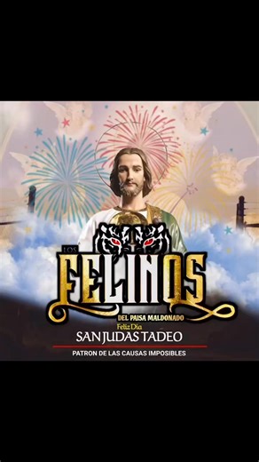 💚💚💚🙏🏻➕ 𝐒𝐀𝐍 𝐉𝐔𝐃𝐀𝐒 𝐓𝐀𝐃𝐄𝐎 El pueblo te honra e invoca universalmente como el patrón de los casos difíciles y desesperados. #SanJudasTadeo #regionalmexicano #Bendiciones | Los Felinos Pagina Oficial