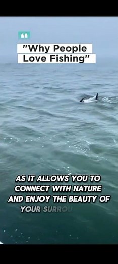 "Why People Love Fishing." #animals #shorts #fishing #fish