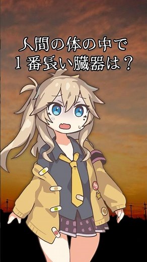 1番長い臓器は？ #shorts #ずんだもん #voiceroid #アニメ #コメディ