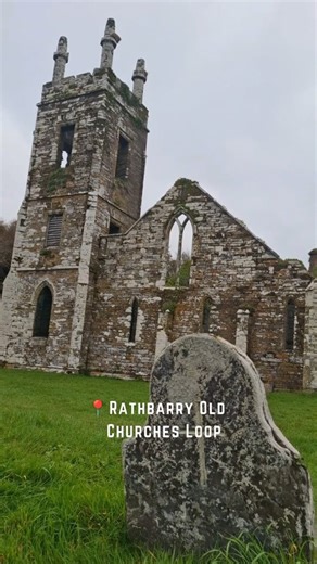West Cork Walker | Walking, Hiking and Exploring the Outdoors on Instagram: "Revisiting Footsteps for January Day 25 📍Rathbarry Churches Loop, Castlefreke, Co. Cork Just 1.7 km long this loop is perfect for kids, buggies and dogs on leads. Parking and starting location on google maps is "Castlefreke trails car park". There are other routes of varying length and difficulty to try out here too or you could add them together. Check out my Castlefreke Highlight on my page for the full reel and more